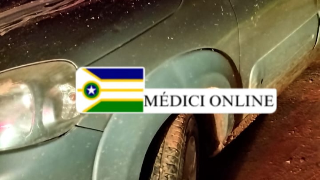 Vaca solta na pista causa transtornos e prejuízos na RO-135
