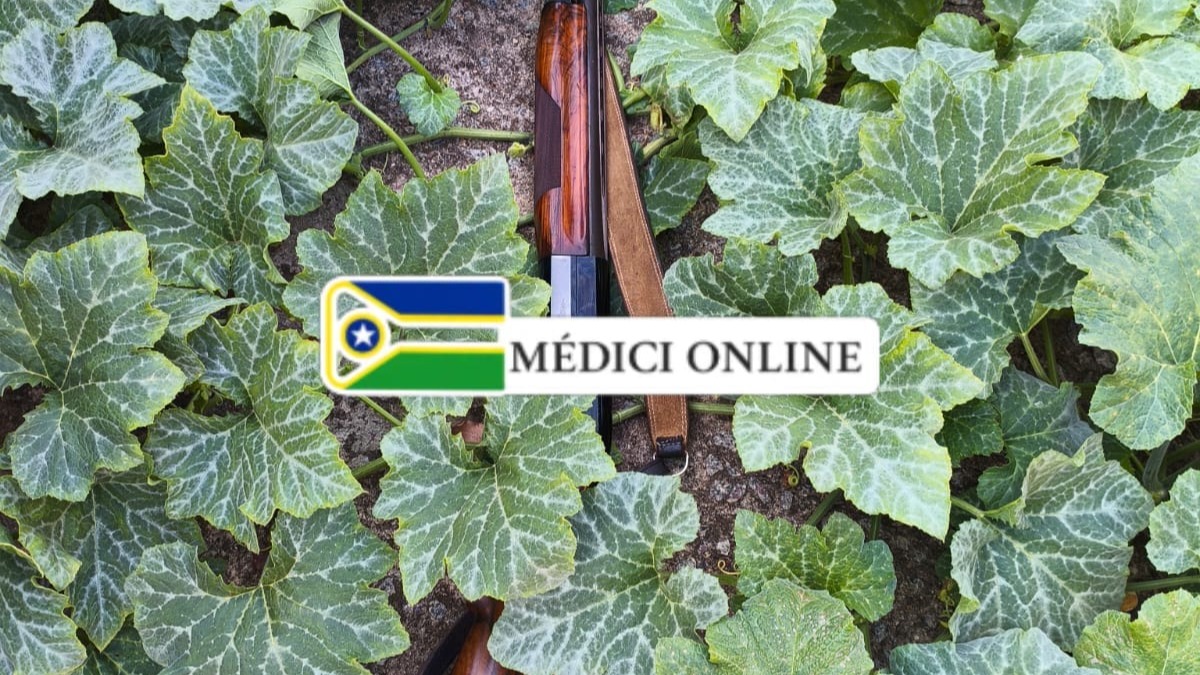 Espingarda é encontrada em quintal de residência em Presidente Médici