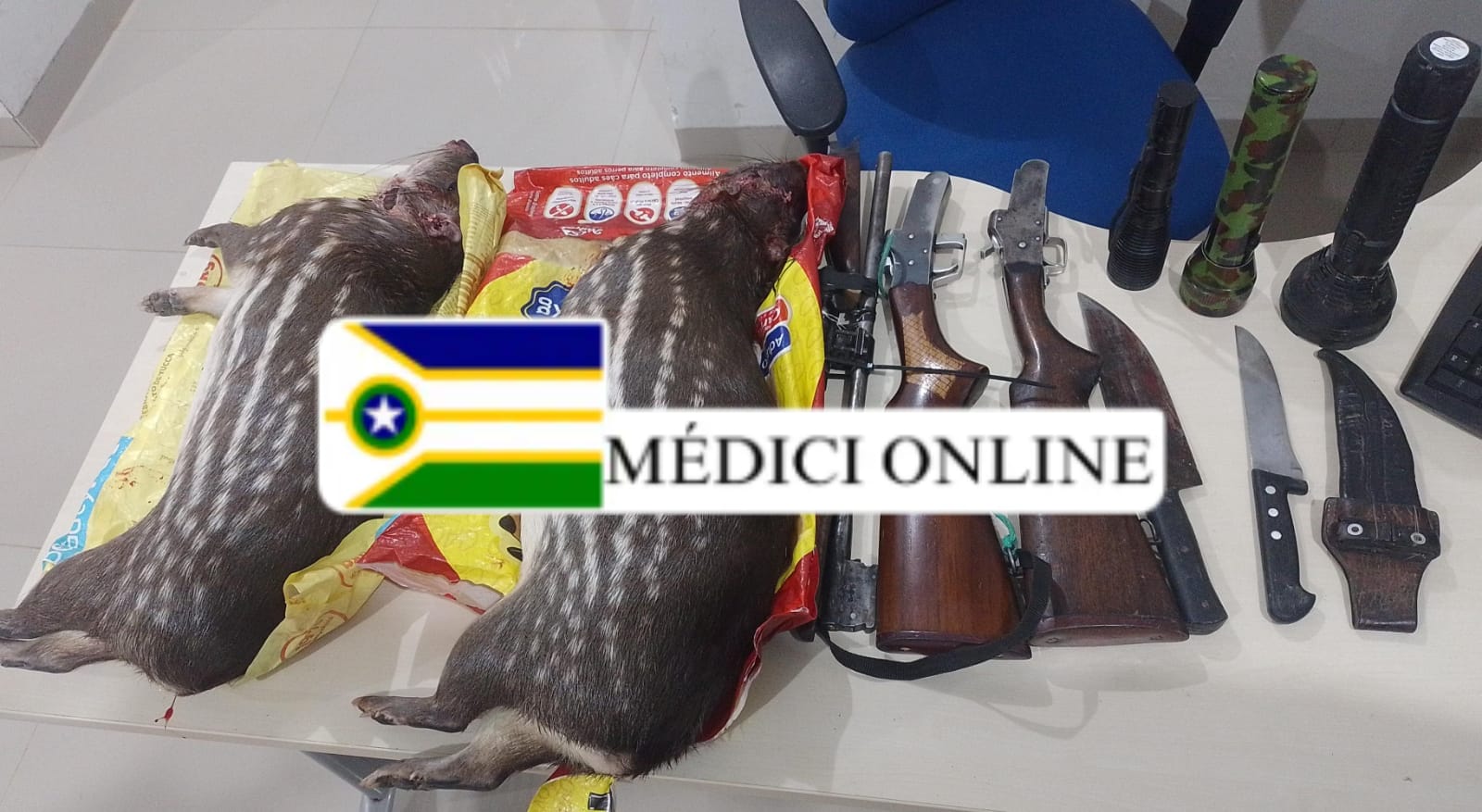 Policiais Militares de Novo Riachuelo Prendem Dois Homens por Crime Ambiental e Porte Ilegal de Armas