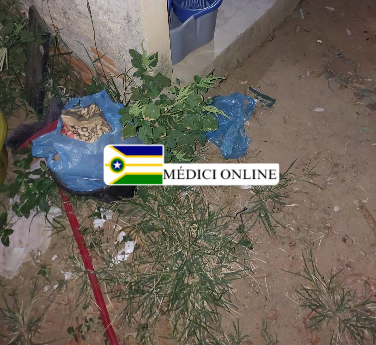 Polícia Militar Apreende Maconha Encontrada por Moradora em Presidente Médici