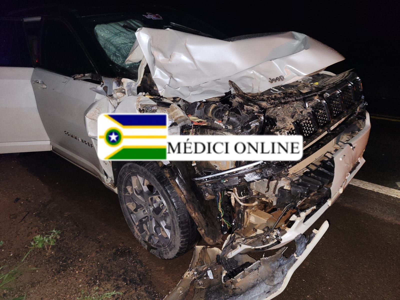 Animal solto provoca acidente na BR-364, nas proximidades do trevo da BR-429