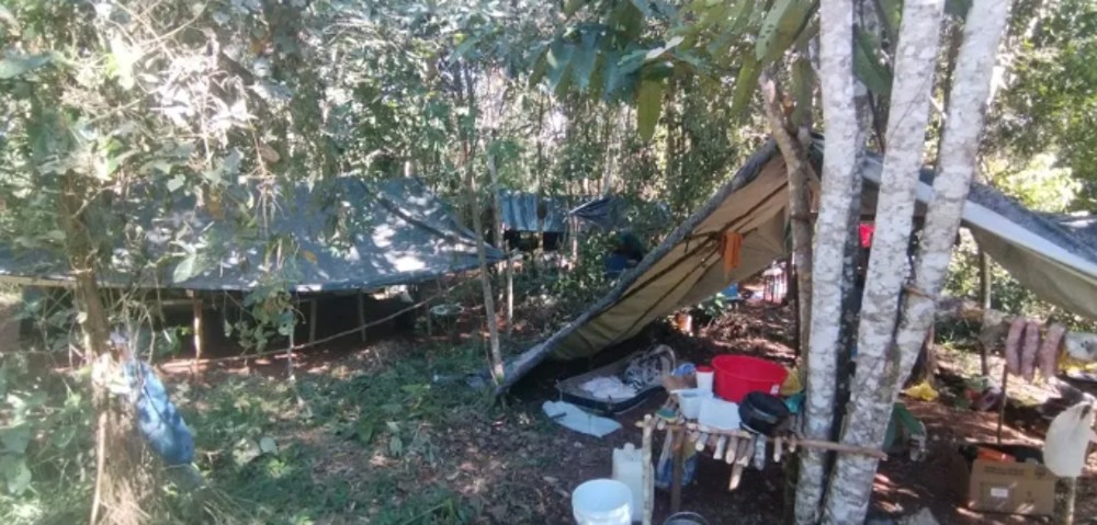 Grupo invade fazenda em busca de lote para "reforma agrária" e é detido pela PM